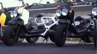 Rucks Lined Up @ St Pete Beach