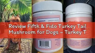 Review Fifth & Fido Turkey Tail Mushroom for Dogs &ndash; Turkey Tail for Dogs Mushroom Supplement with Im