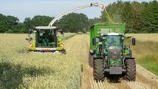 GPS Hakselen | Claas Jaguar 950 + Fendt | Steenweg | Nordhorn | 2020