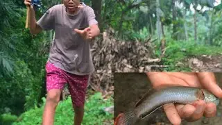 Berburu Ikan Channa Di Habitat Aslinya‼️ Full Sutrekk🙀‼️ #mancing #mancingchanna  #mancingdisungai 