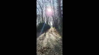 Balade à la pause déjeuner