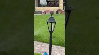 Автополив газона | Технологии для комфорта #smartgarden #автоматическийполив #shorts