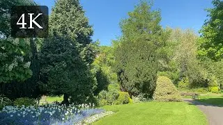 Castle Gardens - Leicester Walking Virtual Tour 4K UHD