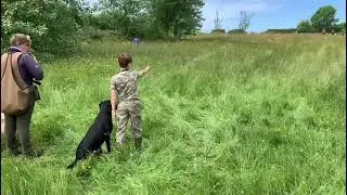 Wirral fundogs