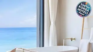 Stayhola | Gangneung-si, South Korea | Hotel Review ⭐