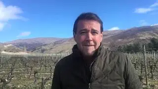 Central Otago wine region guide & terroir focus with Blair Walter
