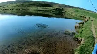Tweeddale Millennium Stevie Lawrie lands a double figure fish