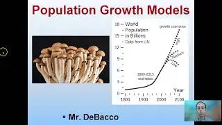 Population Growth Models