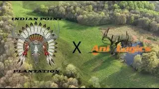 Officially Partnering with Ani-Logics!!!