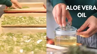 Aloe Vera & Rosemary Oil for Hair Growth, Reduce Dandruff & Scalp Care