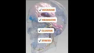 Migraine Relief Cap Hat Gel Hot Cold Therapy Headache Relief Cap Stretchable Compress Hood Sinus