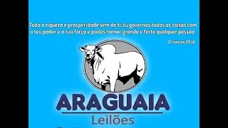 ARAGUAIA LEILÕES | NOVA CRIXÁS-GO 30/01/2026 | LEILÃO DE GADO AO VIVO