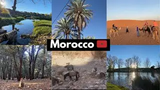 Morocco's Eastern Marvel: Unveiling the Spectacular Beauty of Nature 🇲🇦