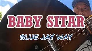 【BABY SITAR】blue jay way