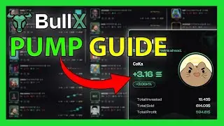 BULLX NEO Pump Vision FULL Guide (Crazy Profits)