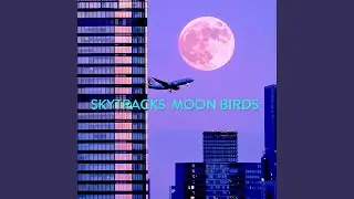 Moon Birds