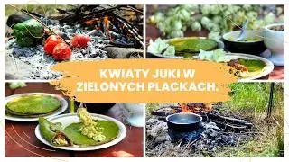 Kwiaty juki w zielonych plackach. Yucca flowers in green cakes.