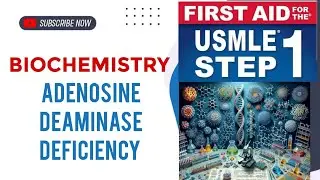 Adenosine deaminase deficiency #biochemistry 9 | First Aid USMLE Step 1 in Urdu/Hindi