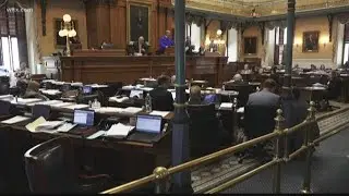 Senators debate state budget
