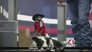 Whiplash the Rodeo Clown