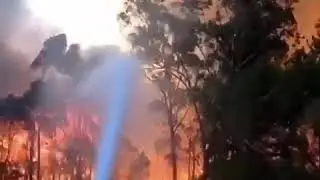 Intense Video Show Destructive Power Of Australian Bushfires