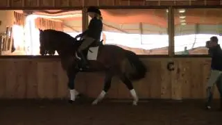 Dressage Training with David Marcus