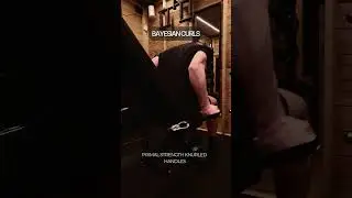 Proving home gym workouts DON'T SUCK...part II. Back & Bi's