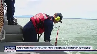 Coast Guard uses old whale-hunting tactic to save WA orcas | FOX 13 Seattle