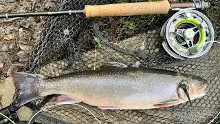 Frensham Trout Fishery - Some Days The Trout Just Want To Chase Lures