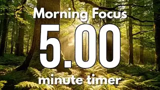 5 Minute Classroom Timer | Sunrise Focus & Relaxing Music