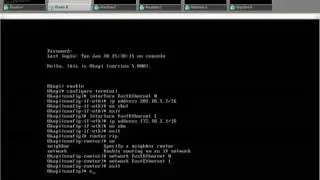 Multicast Networking