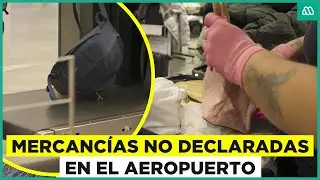 Testigos en la frontera | Mercancías no declaradas en la frontera