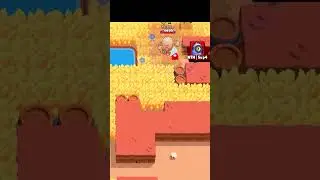 Everyone Die
