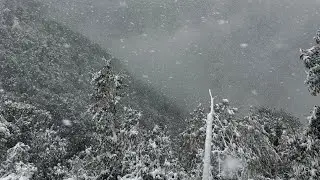 Snowfall at mandi district fulldhar and Dyna park 