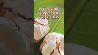 ಯಾರ್ ಯಾರ್ ತಿಂದಿದ್ರ ಹಣೆ ಕಣ್ಣು |ice apple #shots #shotsfeed #viralvideo #viral #viralshots #iceapple