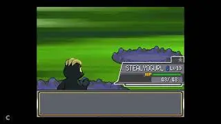 Pok&eacute;mon Empyrean: Vs Gym Leader Syler