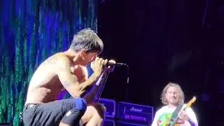 Red Hot Chilli Peppers Sydney 04/02/2023 - I Could Have Lied (Live)