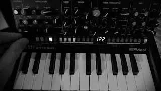 The sound of Roland Boutique SE-02 | No talking