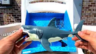 Animal Planet Mega Shark and Killer Whale, Tiger shark, Diver! Toys Unboxing.