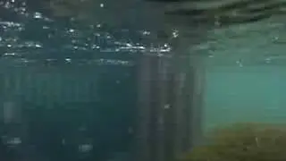 Hofs&aacute; 2