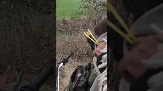 Kokar hunting with slingshot tips #ytshorts #youtubeshorts #trending #tips #shorts