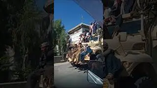 🇦🇫 Afghans Celebrate Victory Against Pakistan | Joyful Moments & National Pride