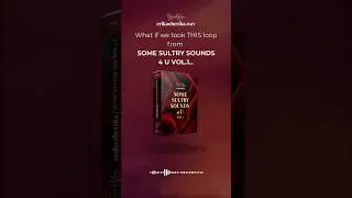 R&B loop + random beat = instant vibe. ✨ #rnbproducers #vocalloops #samplepack  #musicproducers