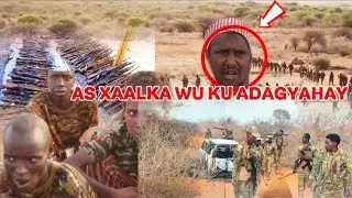 Waa kuwe horjogiyasha ku dhawacmey kudha  iyo cadeymo laga heley bu aale see more.........
