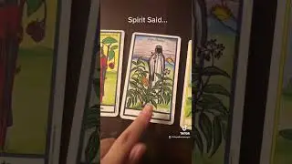 You Need To Attract Creative Opportunities NOW! 🗣Spirit Said... | Herbal Tarot