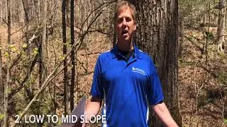 High Conservation Value (HCV):Mesophytic Cove Sites