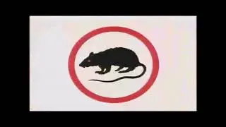 Ratos de Por&atilde;o - Pr&oacute;ximo Alvo (Videoclip)