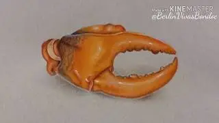 How to Draw Realistic Crab Leg - Colored Pencil and Watercolor // Speed Drawing