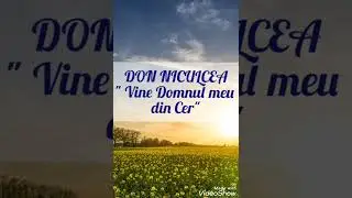 DON NICULCEA - Vine Domnul meu din Cer