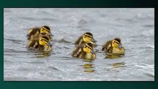 Norfolk Broads 2024